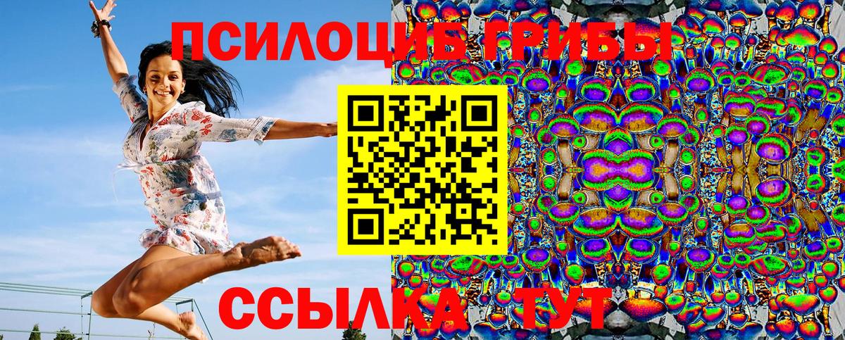 Галлюциногенные грибы Cubensis Лабинск