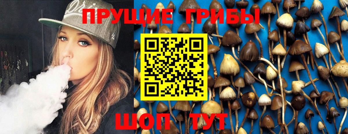 Галлюциногенные грибы GOLDEN TEACHER  Вход с VPN  Лабинск  Галлюциногенные грибы GOLDEN TEACHER 